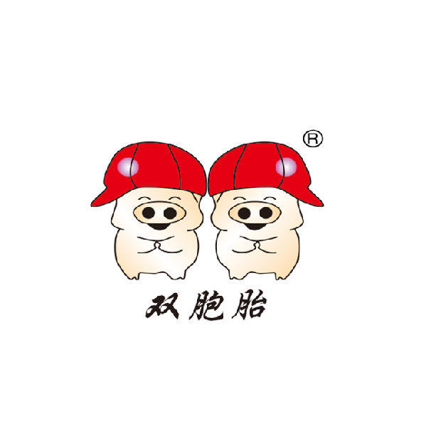 双胞胎.jpg